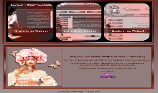 <b>W</b>ebset-<b>C</b>aro-<b>7</b>